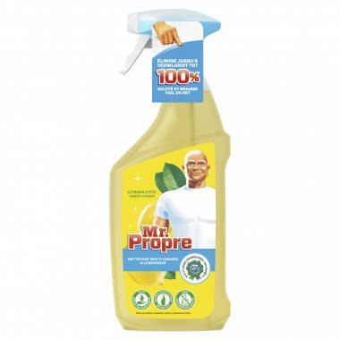 Mr.Propre Multi Lemon 750 ml