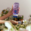 Nivea Miracle Garden Veilchen & Pfingstrosen Żel pod Prysznic 250 ml