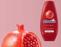 Schauma Color Glanz Odżywka do Włosów 250 ml DE